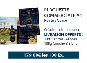 Plaquette commerciale personnalisée conçue par un graphiste, impression professionnelle incluse avec livraison offerte.