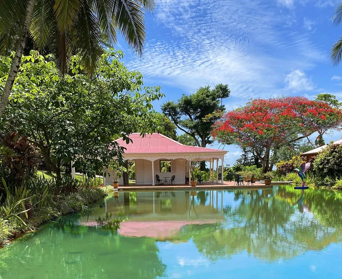 Jardin tropical et son bassin